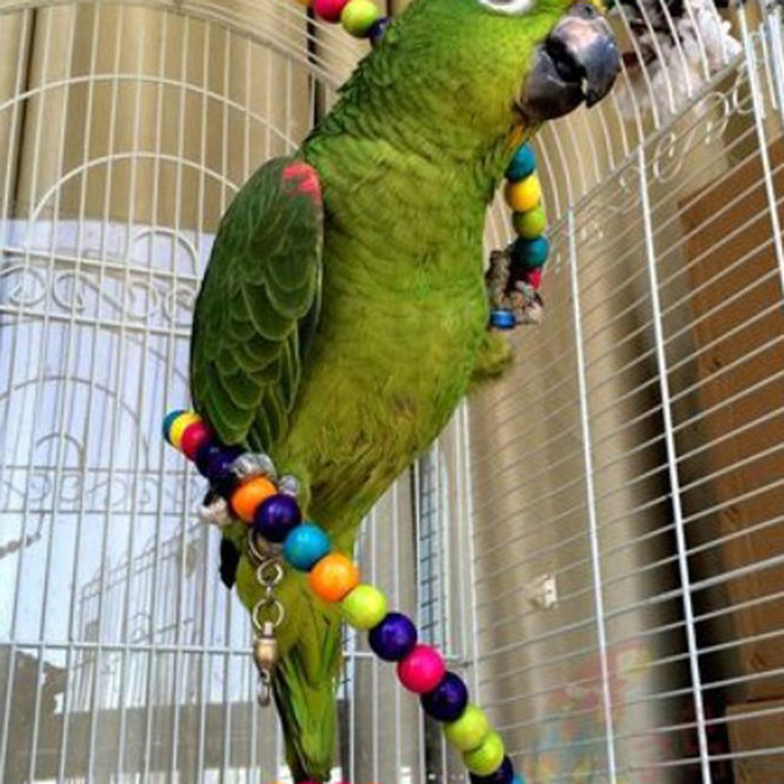 Perchoir flexible jouet d'oiseaux échelle en bois pour oiseaux comme perroquet 100cm