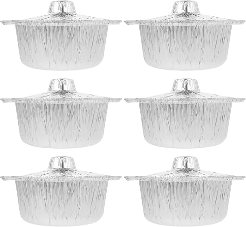 BESTonZON 6 unids sartenes reciclables desechables camping hornear barbacoa alimentos ollas tapas cocinar calefacción