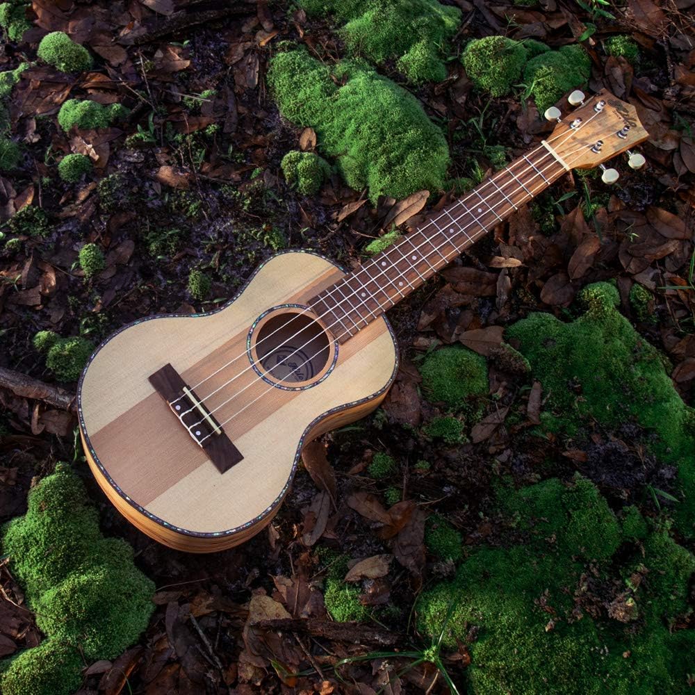 Other, 4-String Premier Spruce Pine Tenor Ukulele (2957-A)