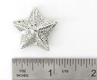 Vista 1 de Estrella de mar, Pez Estrella, Estrella de Mar, Playa, Océano, Estrellas quebradizas, Estrellas Canastas, Náutica, Solapa, Pines, Broche, Peltre