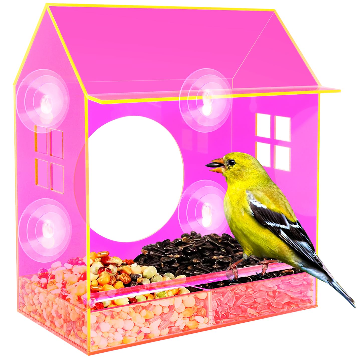 Best Window Bird Feeder Tips
