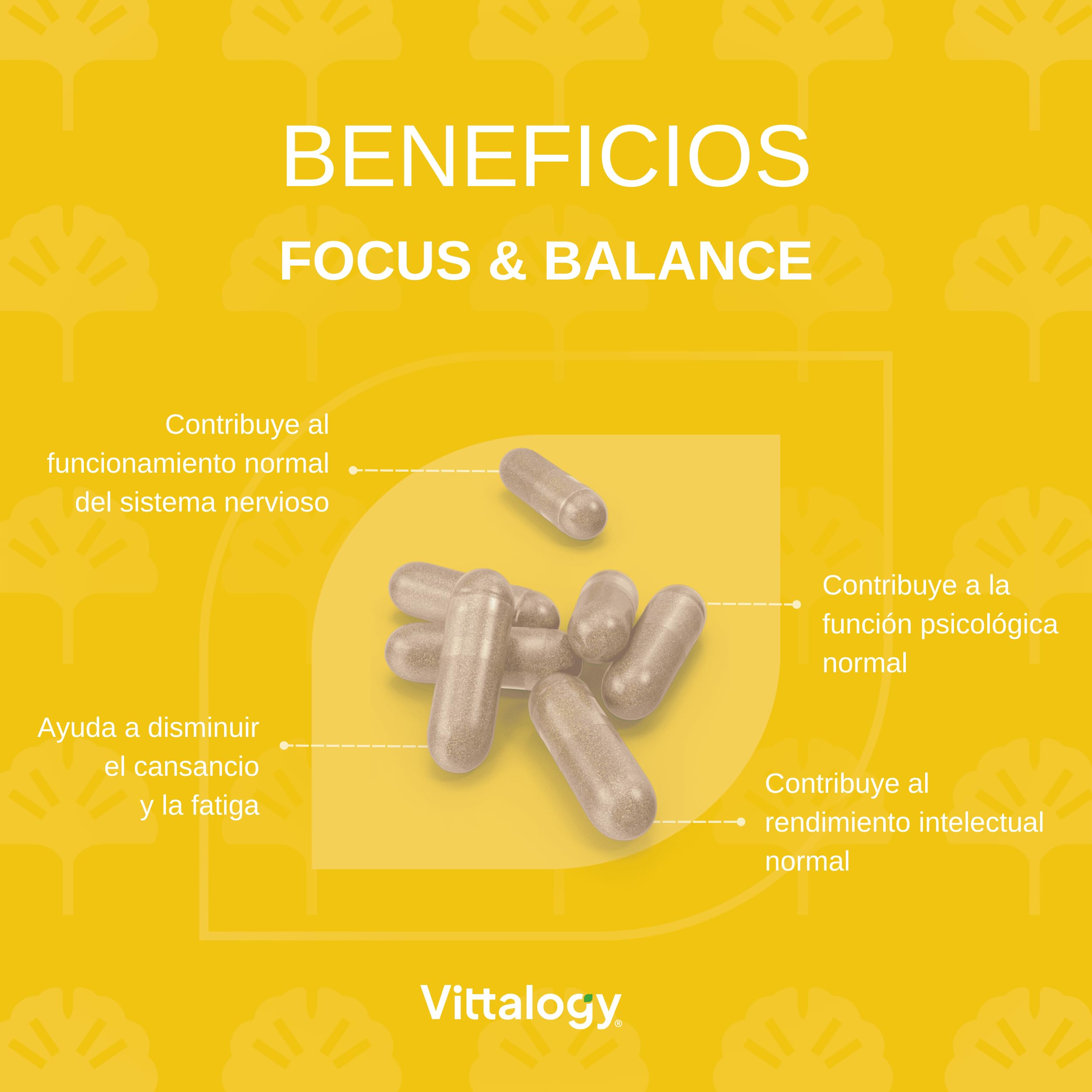Focus & Balance Complemento Alimenticio Nootrópico con Ashwagandha Sensoril® para Memoria y Concentración. Suplemento de Té Verde, Ginseng y Vitaminas B3, B5 y B1 para Estudiar. 180 Cápsulas