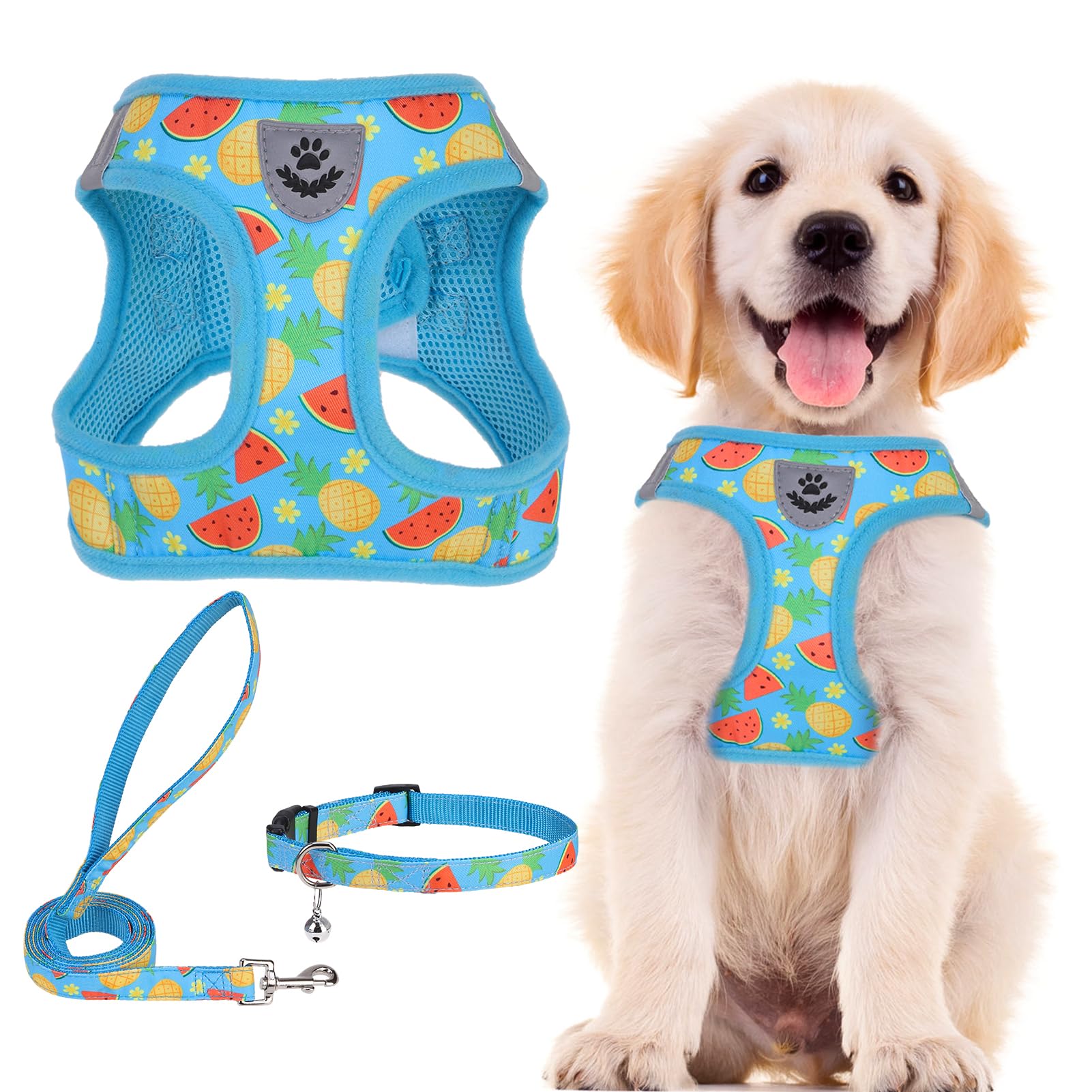 PUPTECK Adjustable Dog Harness Collar and Leash Set Step in No Pull Pet Harness for Small Medium Dogs Puppy and Cats Out