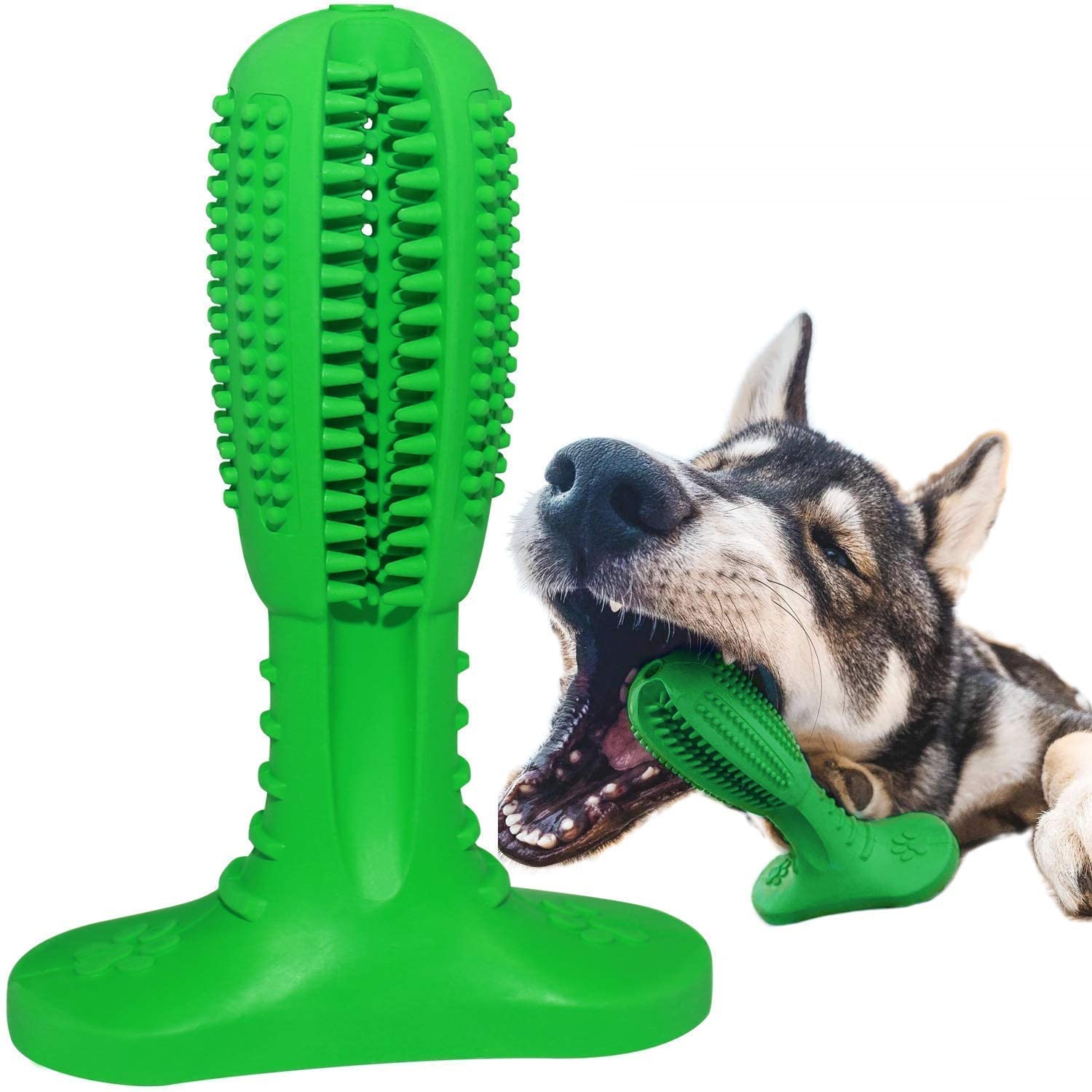 See full amazon price history chart for RENESMEE® Dog Toothbrush Stick-Dog Teeth Clean Tooth Brushing Stick for Dogs Oral Care Dental Care Natural Rubber Non-Toxic Dog Pet Chew Toys (Green) RENESMEE® Dog Toothbrush Stick-Dog Teeth Clean Tooth Brushing Stick for Dogs Oral Care Dental Care Natural Rubber Non-Toxic Dog Pet Chew Toys (Green) (B09N7KBB7F) Amazon Price History, Amazon Price Tracker