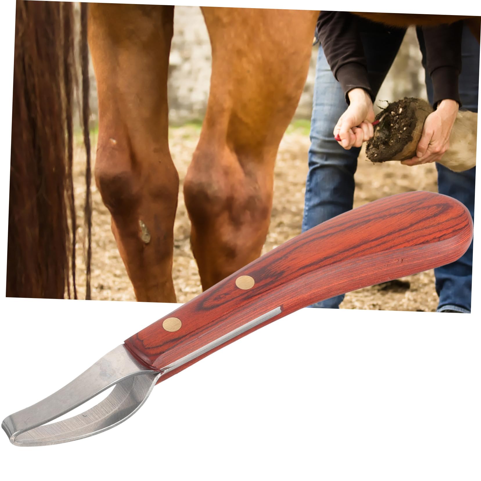 BESPORTBLE 2stücke Professionelles Hufwerkzeug Aus Manganstahl Robuster Hufschneider Für Pferde Ergonomischer Griff Leichte Handhabung Für Täglichen Gebrauch