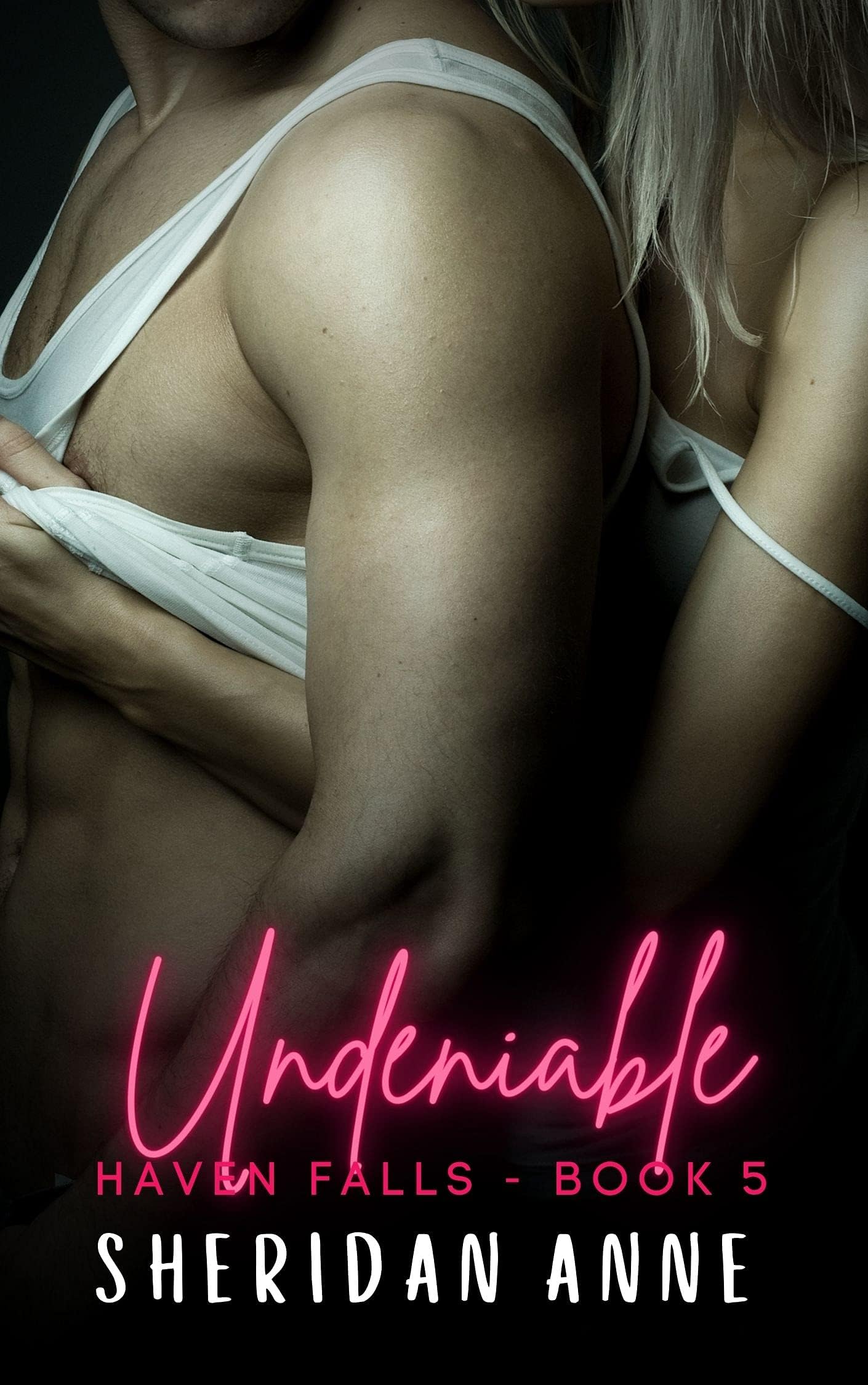 Undeniable: Haven Falls (Book 5)
