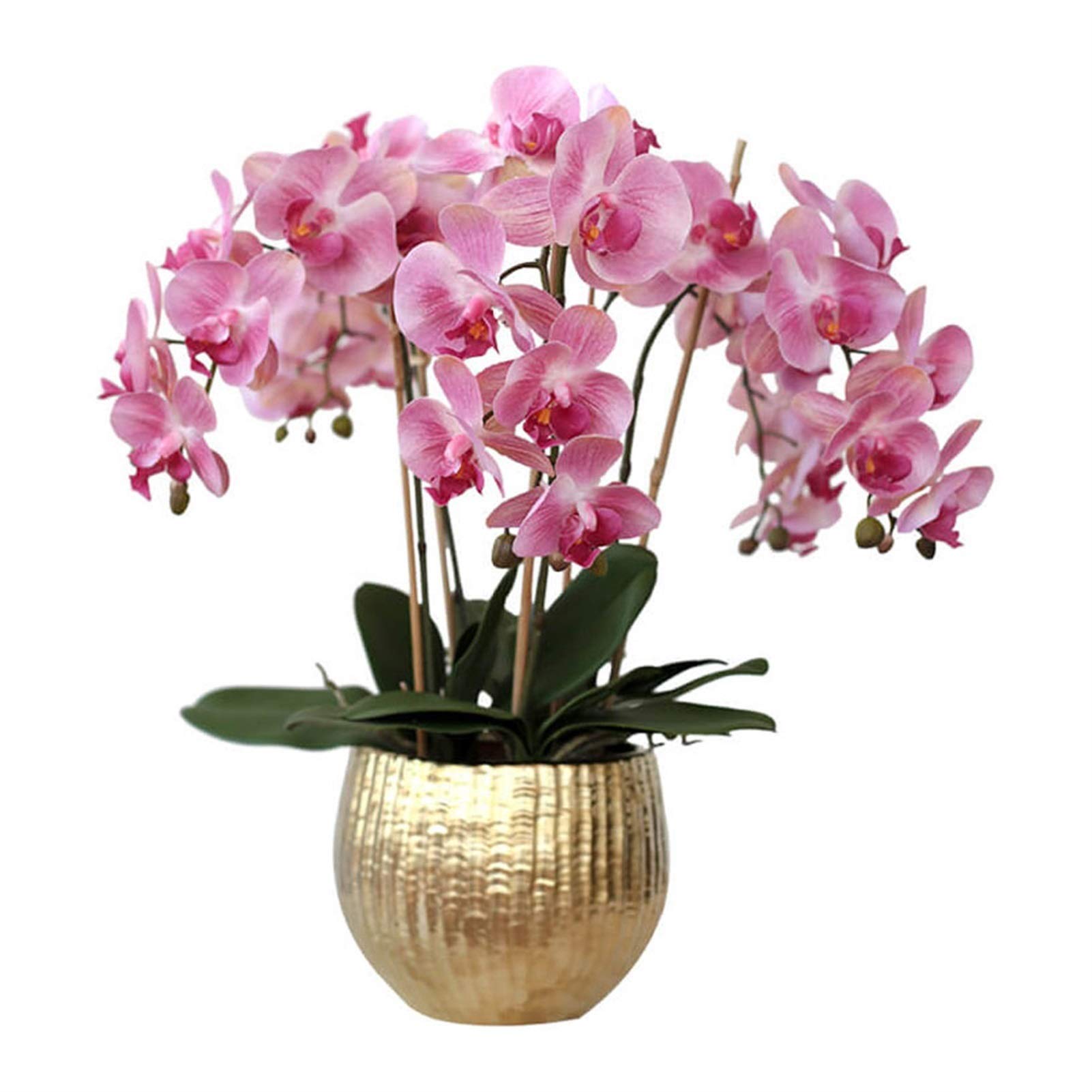 IUokLU Artificial Orchid Flowers,Artificial Orchid Artificial Flower in Pot Orchids Artificial Phalaenopsis Flower Arrangement, Faux Silk Orchid Flowers with Ceramis Vase