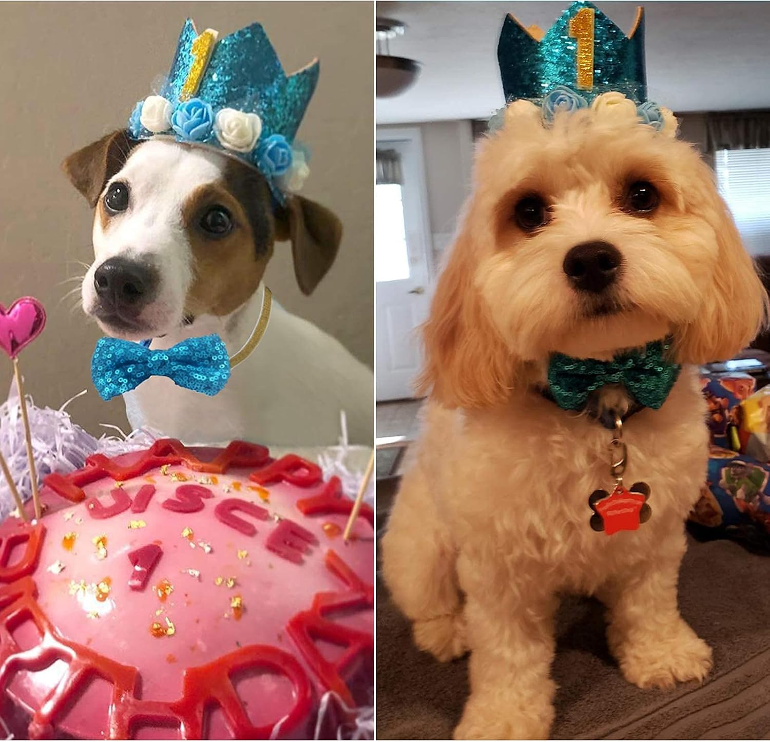 Cat Dog Birthday Crown Hat and Bow Tie Collar Set Pet Boy Birthday Party Supplies (Blue)