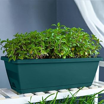 LATERN 6 Pezzi Vasi Per Piante Fiori In Plastica, 13CM, Colorato - Foto 11