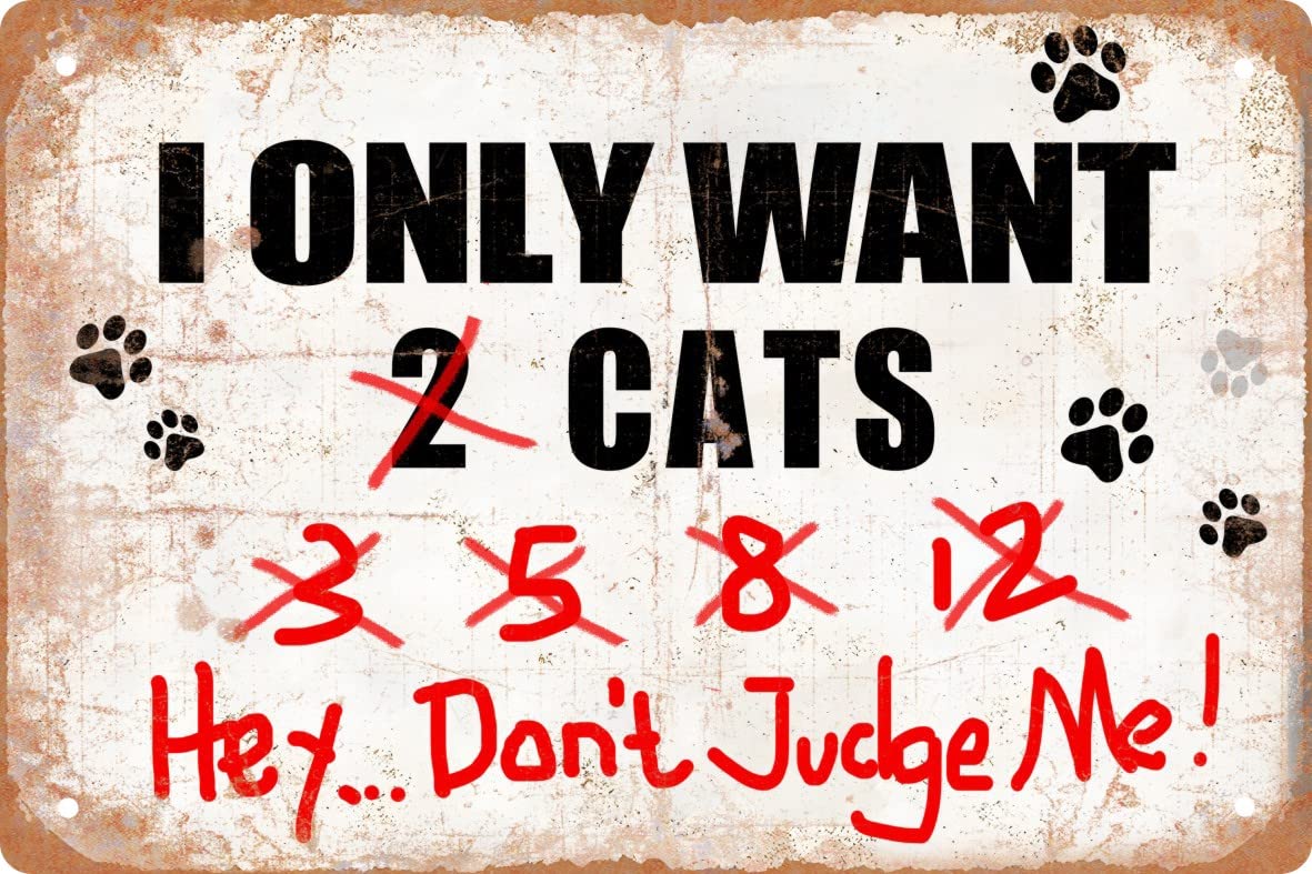SMAZDFXX Funny Metal Tin Sign Decor I Only Want Cats Hey...Don't Judge Me Farm Outdoor Cats Coop Rustic Wood Decor Home Room Vintage Wall Poster Art 5.5"x8"
