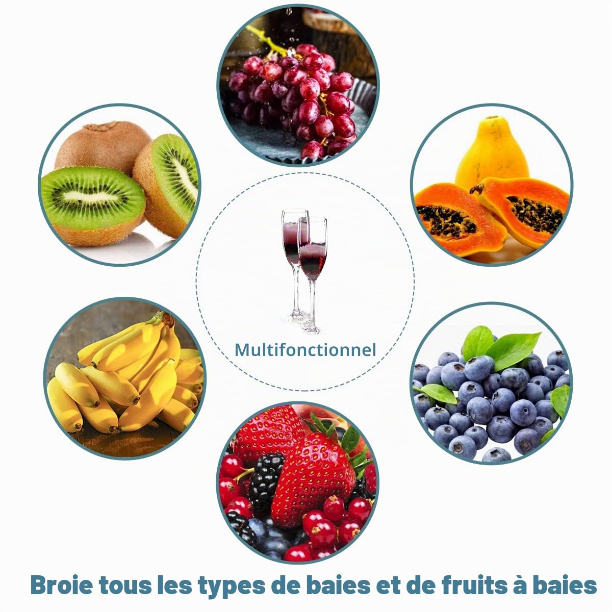 SQUEEZE master Moulin à fruits 7 l avec support, presse-pommes en acier inoxydable, moulin manuel de 7 l, entonnoir en acier inoxydable, dents en nylon
