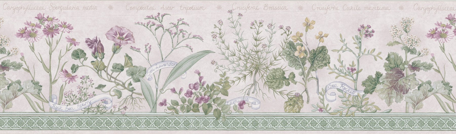 Cenefa de pared Brewster 418B328 papel pintado floral de 17x450 cm
