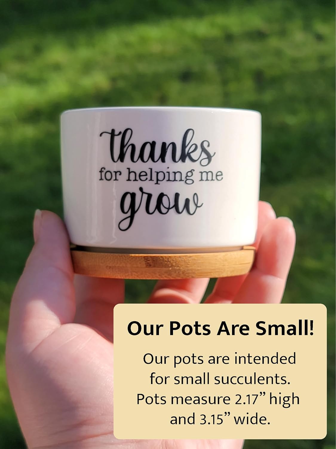 My Next Victim Succulent Pot, Funny Mini 3 inch Pot With Bamboo Drip Tray, Cute Cactus Ceramic Plant Pot, Brown Thumb Plant Lover Gag Gift