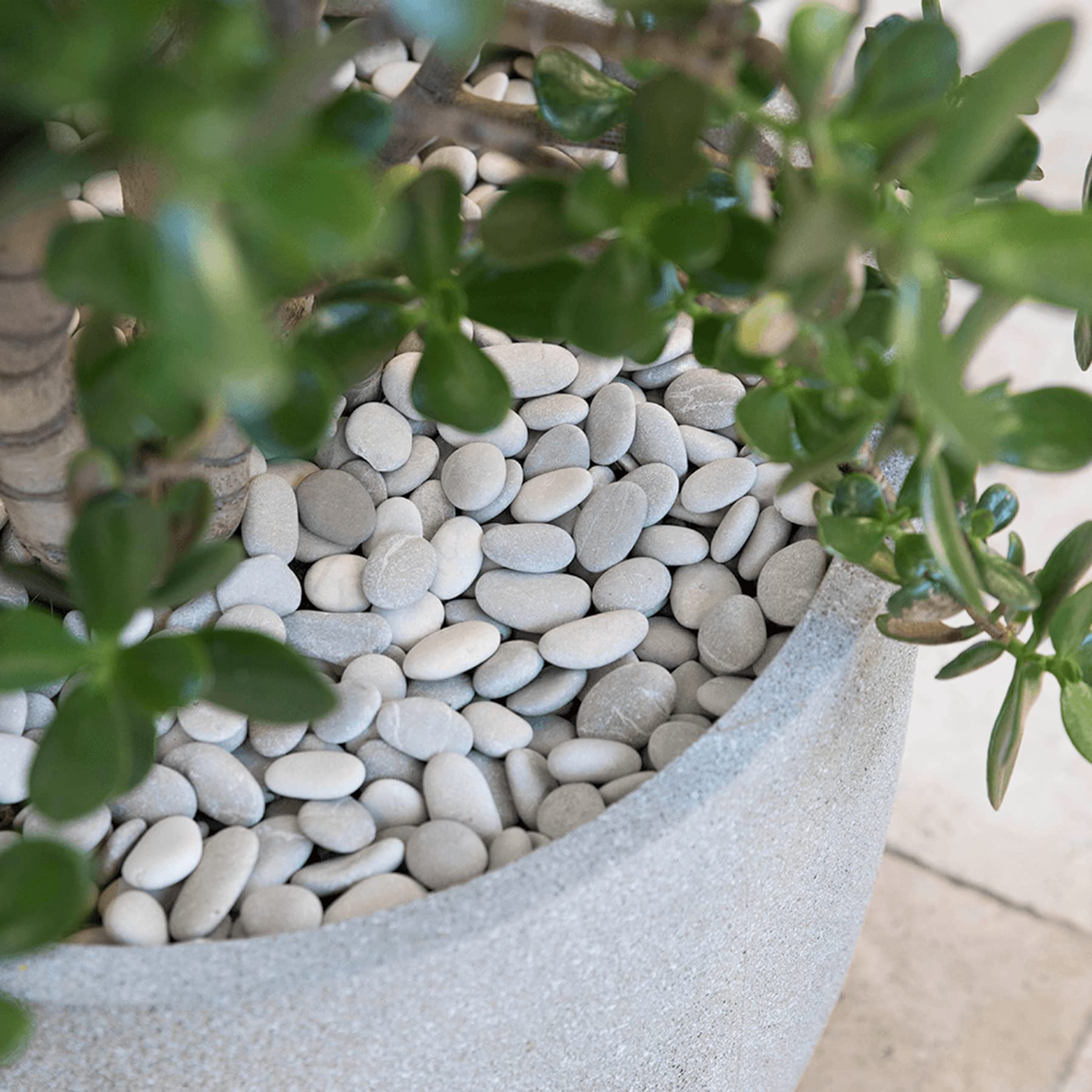 Ciottoli per piante (Bianco, 10 lb)