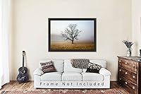 Vista 5 de Nature Photography Print (Not Framed) Picture of Tree Shrouded in Fog on Autumn Morning in Great Smoky Mountains Tennessee Appalachian Wall Art