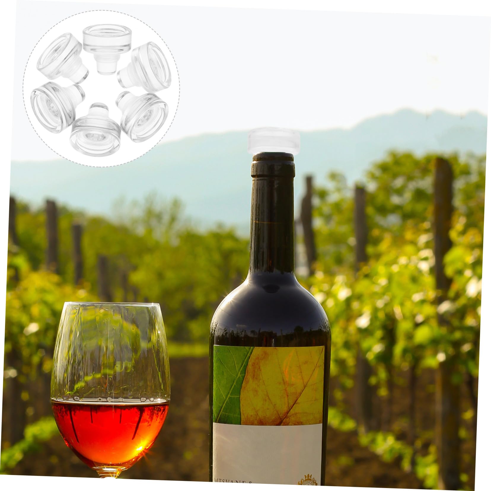 TOYANDONA Tappo per Bottiglia di Vino a Vetro e Silicone, 10 Pezzi
