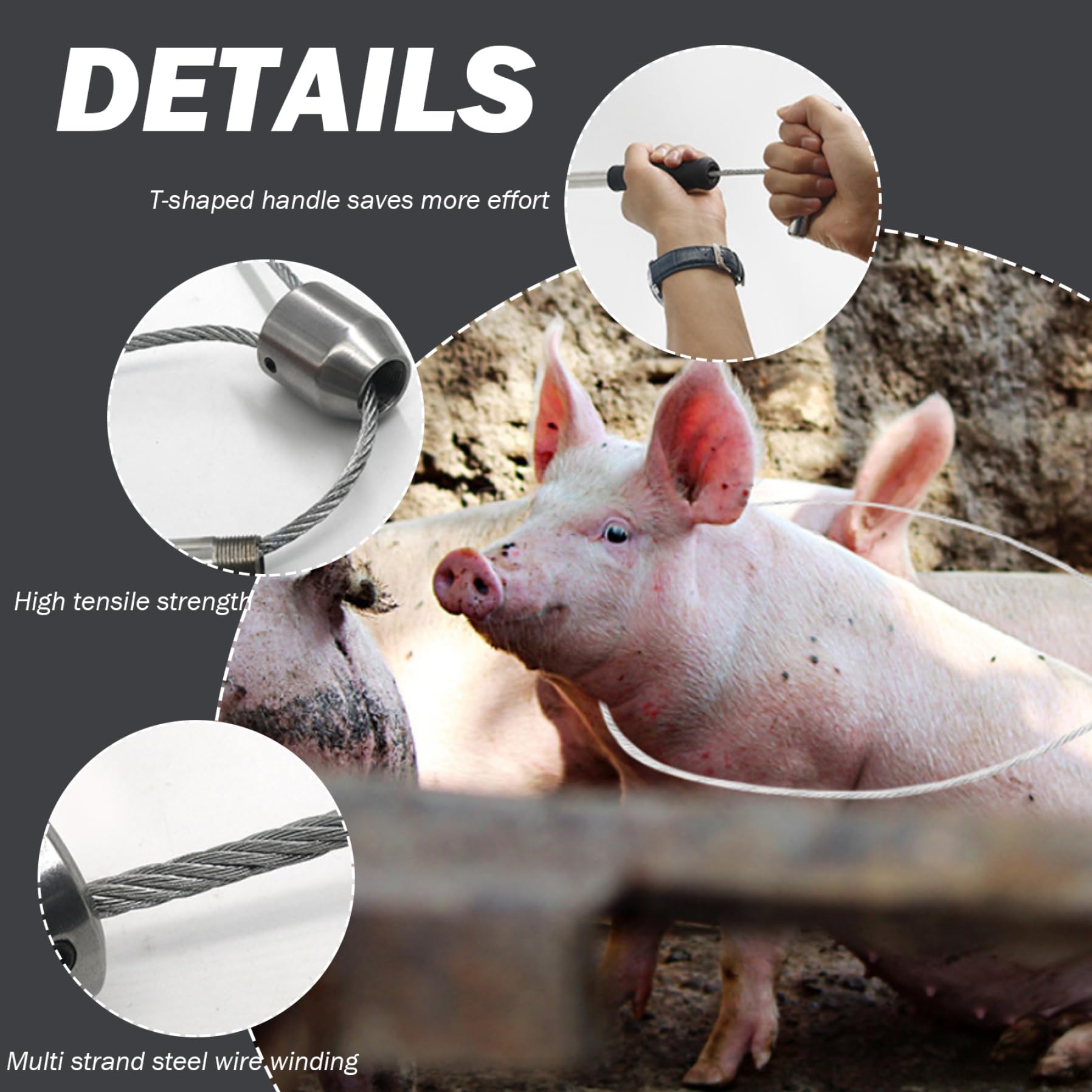 Produktbild von Fangstange Für Tiere 49 Cm – Edelstahl, Verstellbare Schlaufe (79 Cm), Zum Einfangen Von Schweinen & Hunden