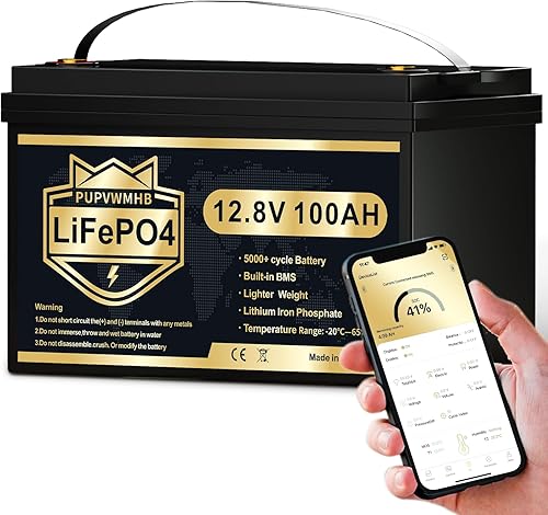 PUPVWMHB Batería de ciclo profundo LiFePO4 de 12 V y 100 AH, BMS de 100 A, batería de litio recargable de más de 5000 ciclos, perfecta para