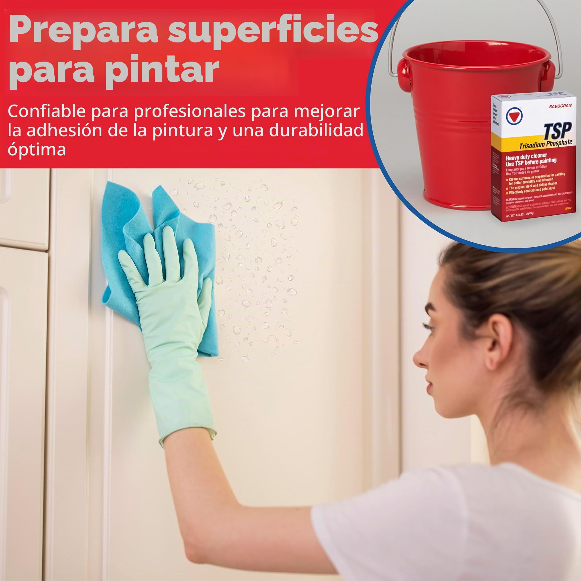 TSP 5-lb. Cleaner -10622