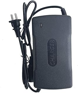 Electric Wheelchair Charger