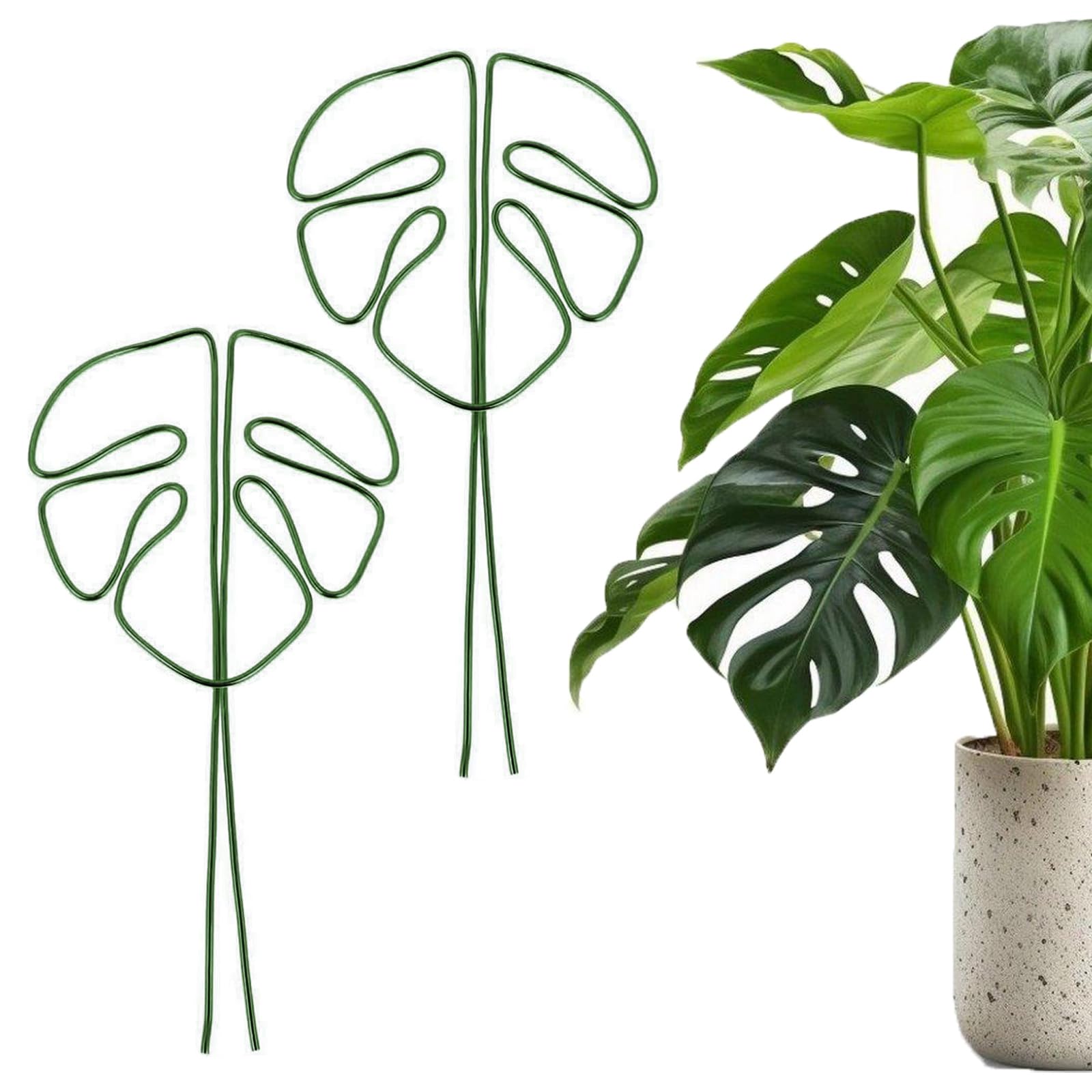 Zestaw 2 wsporników do roślin pnących Monstera, aluminium z wyjątkowym wzorem liści do roślin pokojowych, wszechstronna podpórka do łodyg alocazji i monstery (zielona)