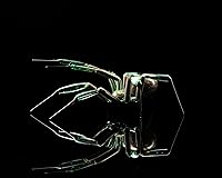Vista 7 de Figura de araña de cristal – Arte de vidrio de uranio hecho a mano (Gris)
