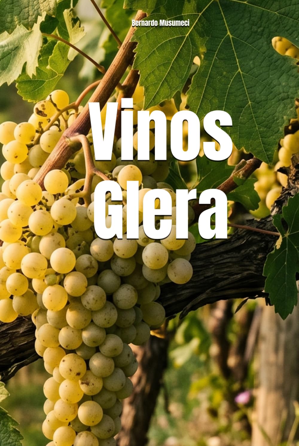 Vinos Glera (Wines of the World: Italy)