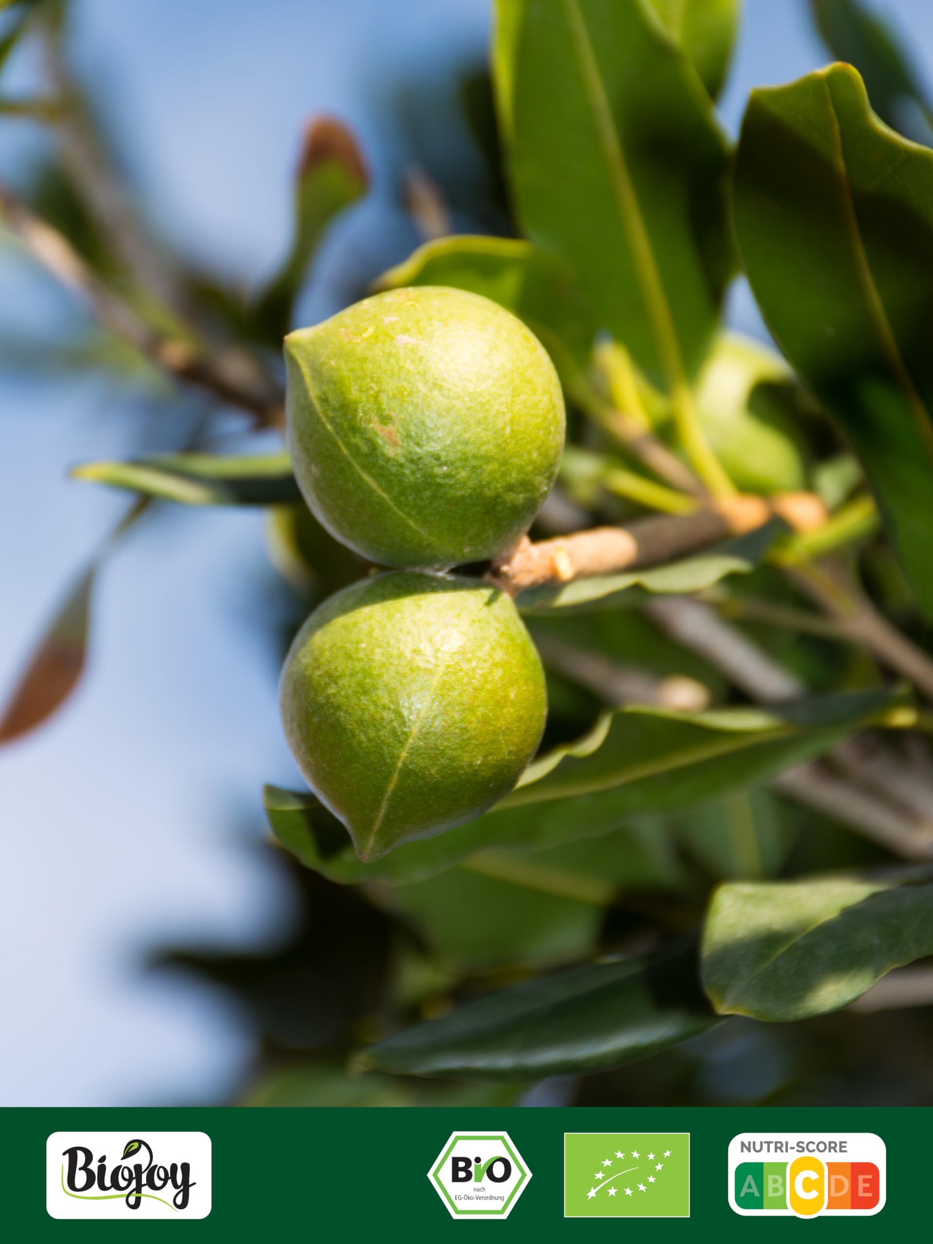 Biojoy Noci di Macadamia BIO (1 kg), crude e naturali, senza sale e non tostate