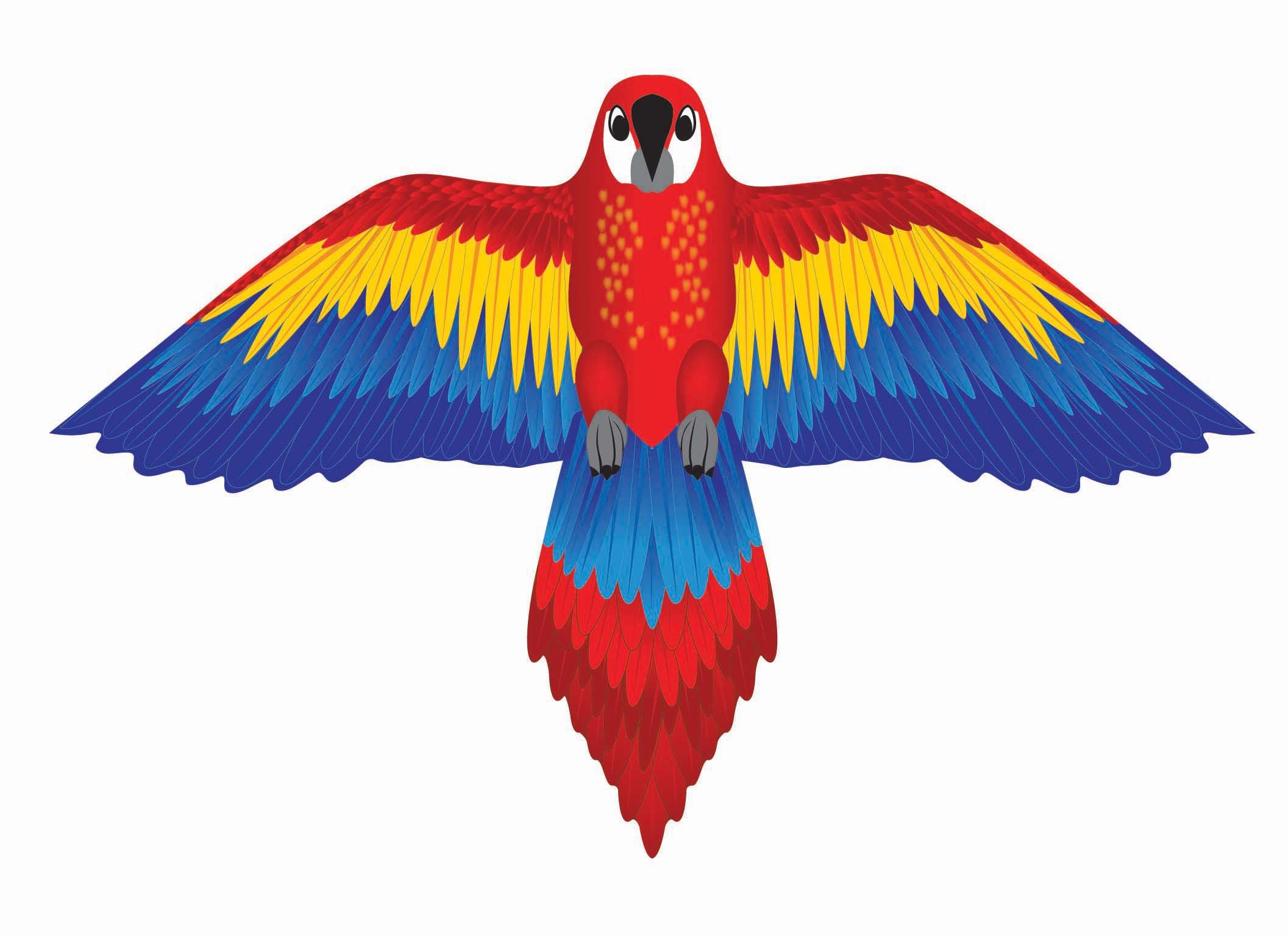 X Kites SuperWings™ Parrot Nylon Parrot Kite, 71 Inches Wide