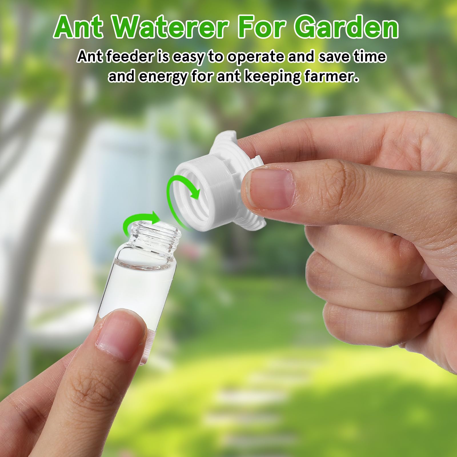 HEMOTON Bebedero para Hormigas 2 Piezas 5 Ml Plástico y Acrílico Transparente Taza Pequeña para Nido Comedero Agua Portátil para Cuidado y Alimentación de Colonias en Terrarios