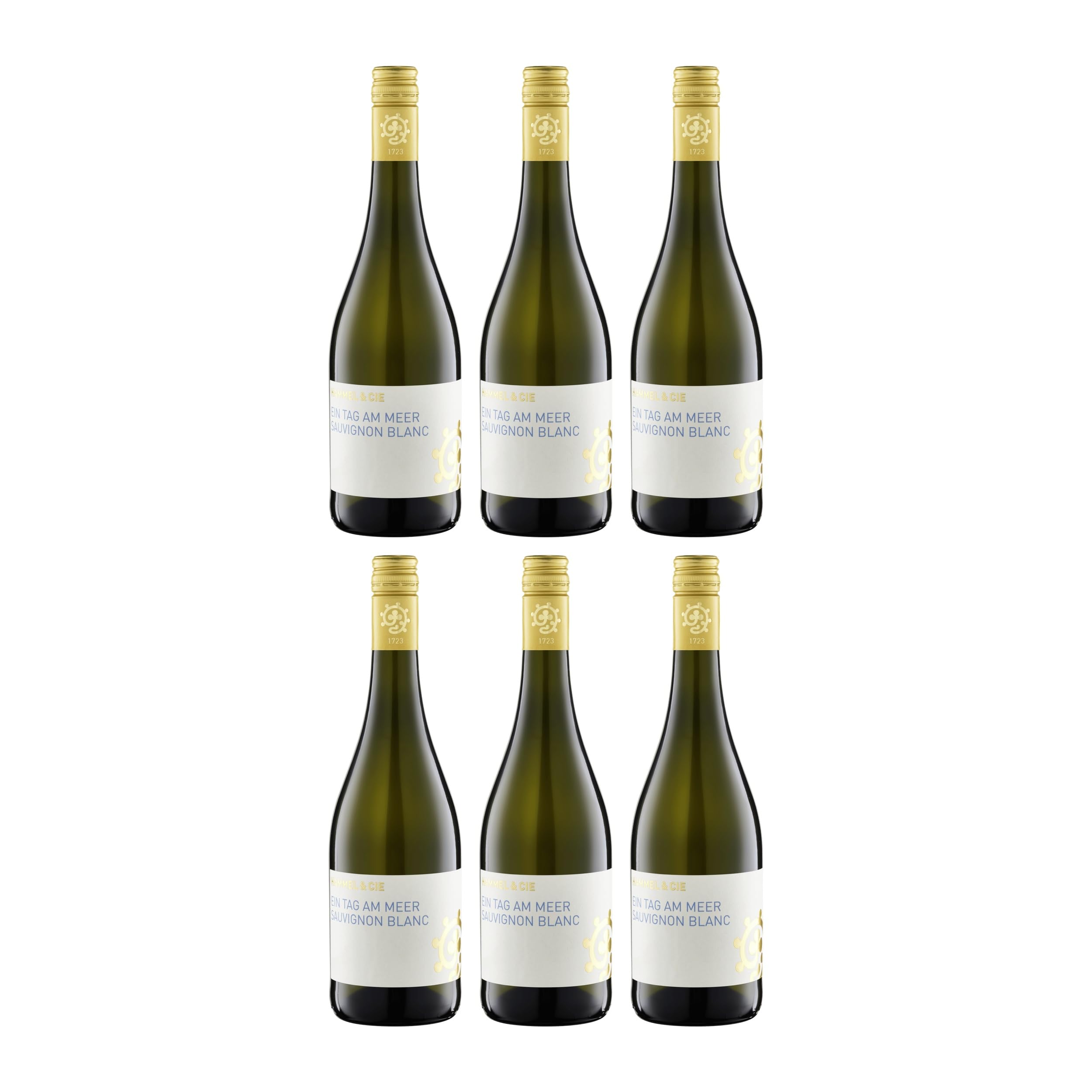 Weingut Hammel Ein Tag am Meer Sauvignon Blanc Weisswein Weiss Trocken VEGAN Deutschland inkl. FeinWert E-Book (6 x 0.75 l)