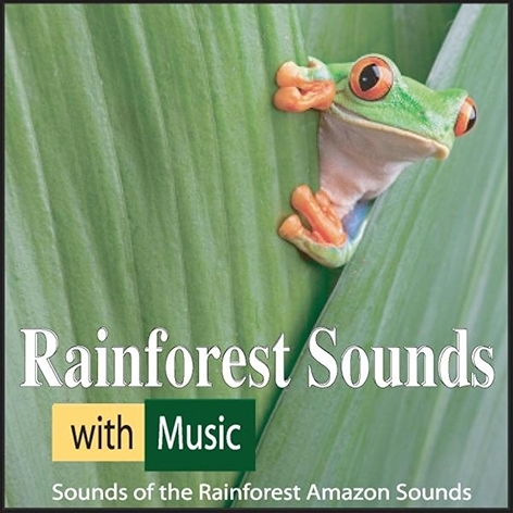 Calming Tropical Rain