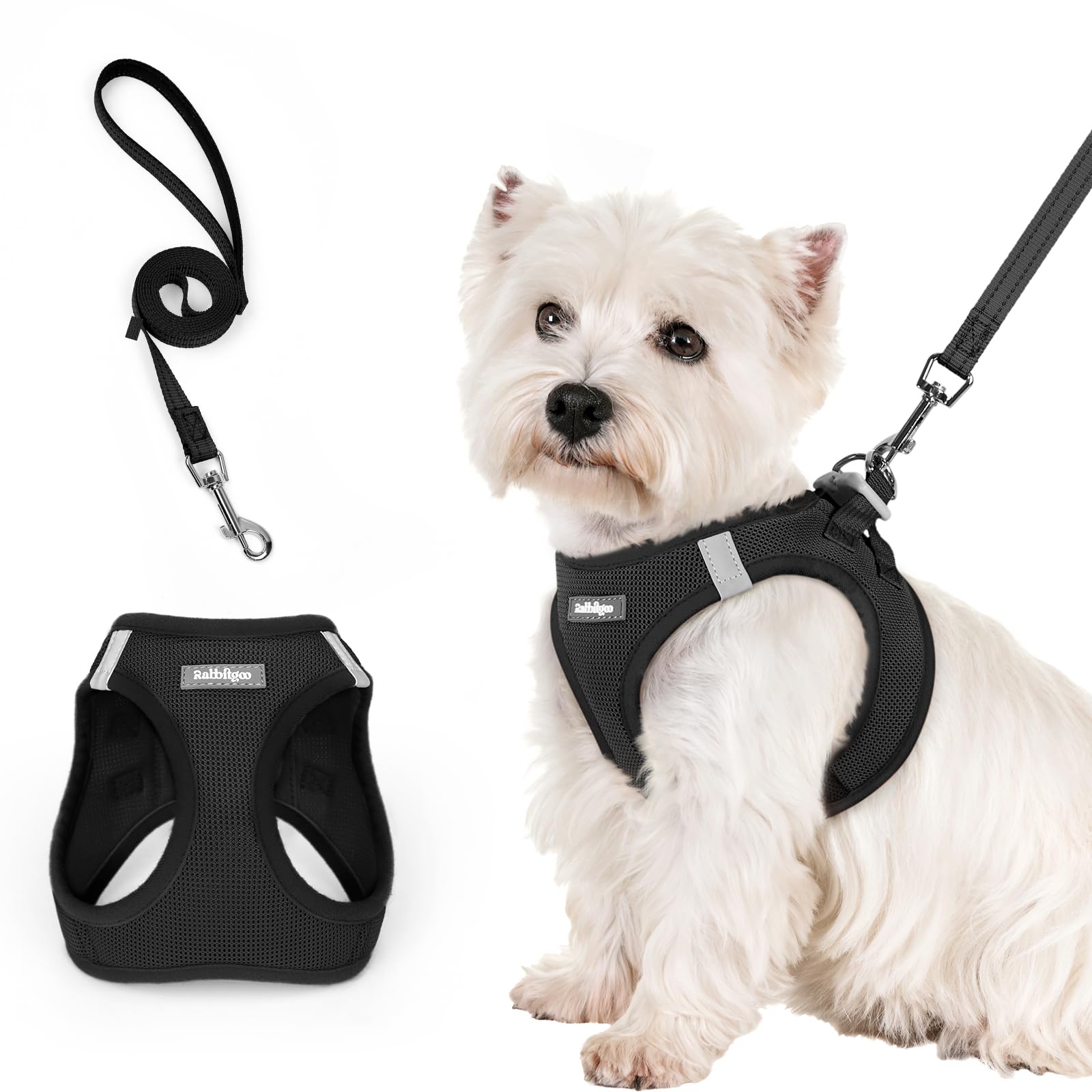 rabbitgoo Harnais Chien Petite Taille avec Laisse Réfléchissant, Harnais Chiot en Maille Souple, Gilet Réglable Facile à Mettre, Arnet pour Chien Petit et Moyen pour Marcher Courir, Noir S