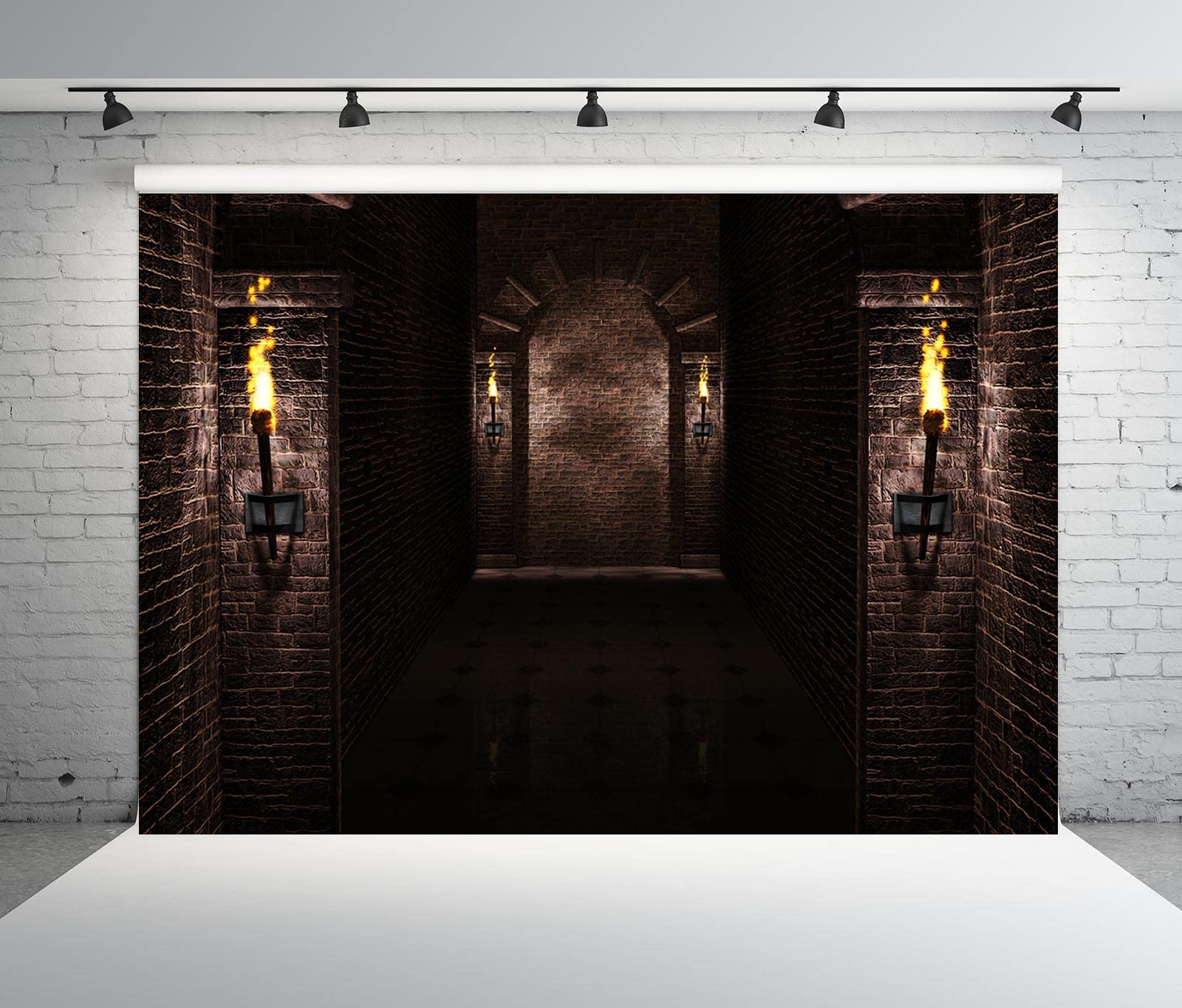 BELECO 3x2.5m Stoff-Hintergrund für gotische Burg,alte Schwarze Ziegelsteinmauer,Bögen,Fackeln,Kerker,mittelalterliche Burgszene,Halloween-Nacht-Hintergrund,mittelalterliche Party-Dekorationen