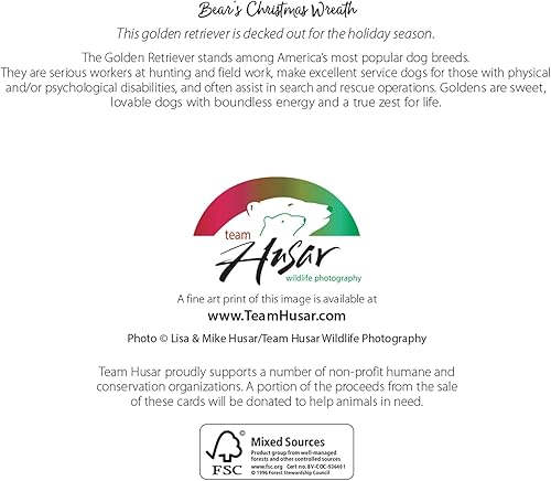 Miniatura 5 de Team Husar Golden Retriever - 15 tarjetas navideñas para perros, 16 sobres blancos (corona de oso - Navidad)