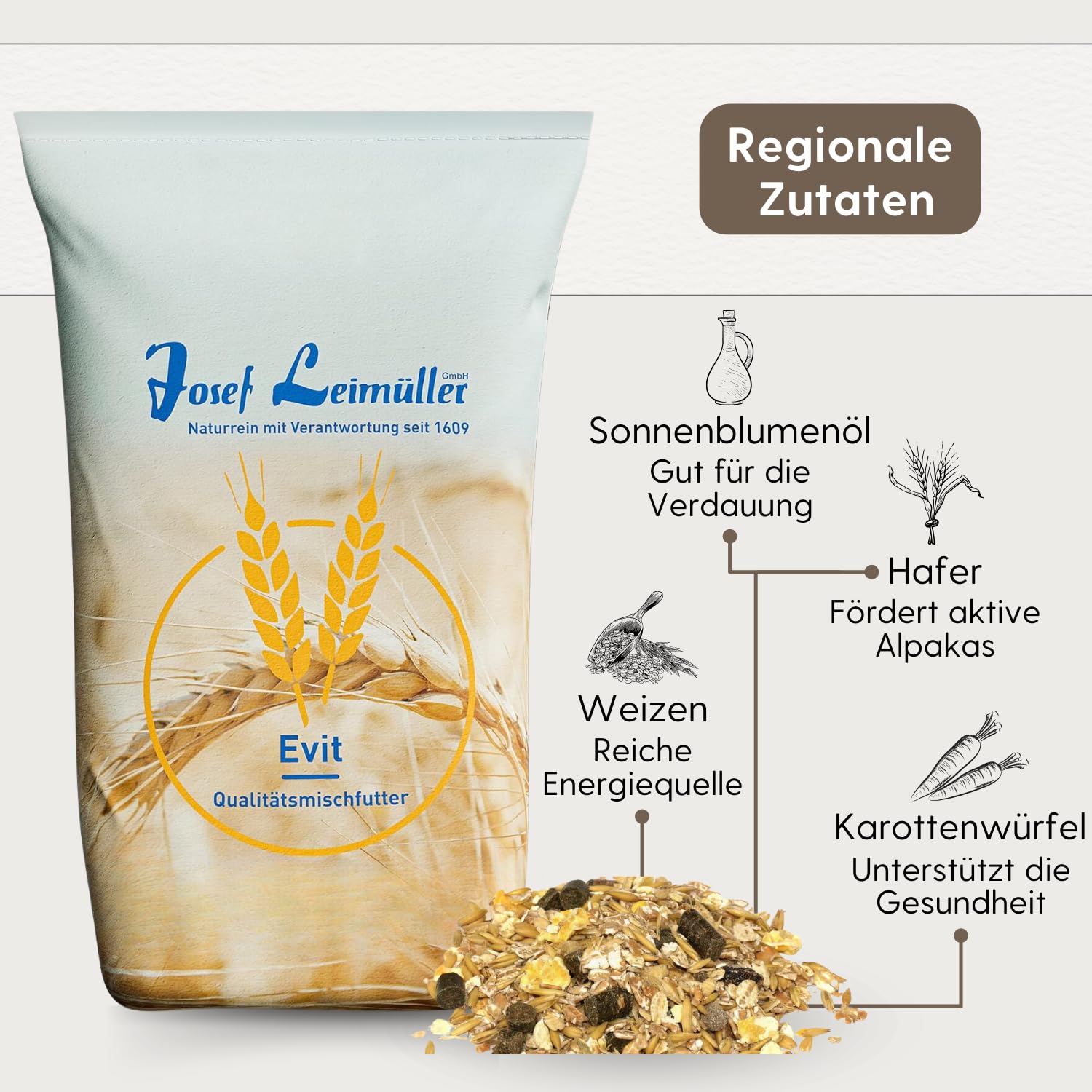 Inverno In Camper In Austria | Le Idee | CAMPERISTI ITALIANI - Foto 7