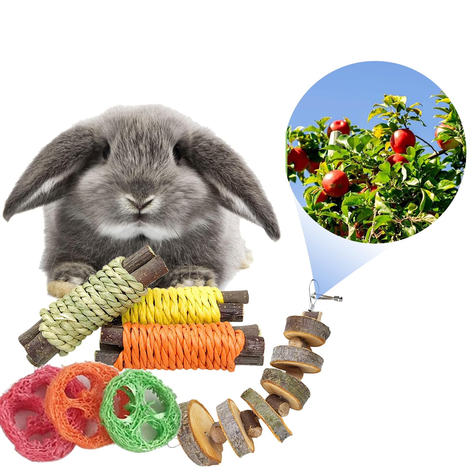 Hamster Chew toys, 9 In 1 Hamster Toys, Hamster Chew Toys Set Small Animal Toys Teeth Care Wooden Accessories, Carrots Corn Chew Toys for Rabbit Guinea Pig Hamster Chinchilla - Image 4