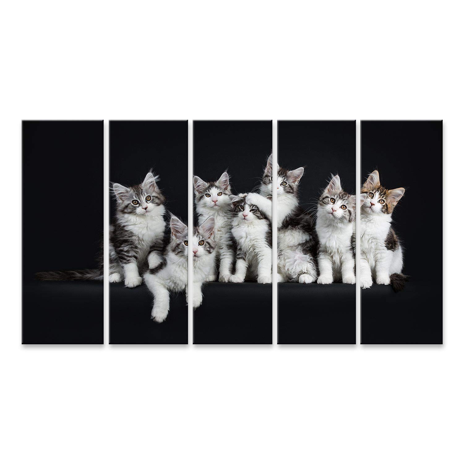 islandburner GBID-5P - Quadro su tela, divertente serie di sette tabby neri che giocano con gatti Maine Coons bianchi