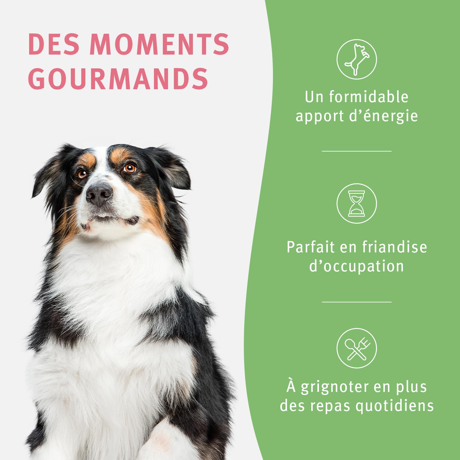 Kalfspezen - Mager, natuurlijk en gezonde snack voor honden
