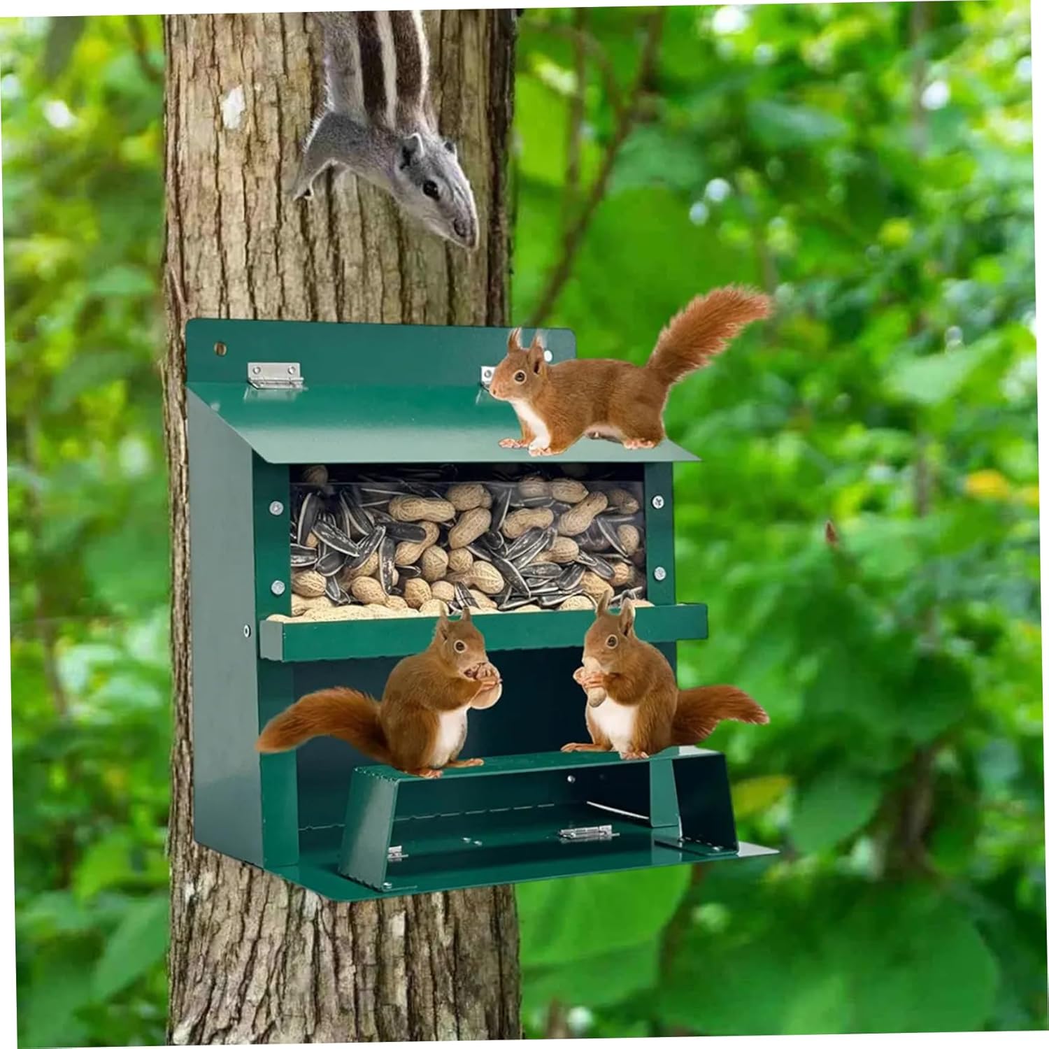 Squirrel Feeder 9×8×6in Metal Squirrel House with Clear Window & Stand Foldable Heavy Duty Box for Corn, Nut, Peanut, Outside Feeder, Feeders, Feeders for Outside, Squi