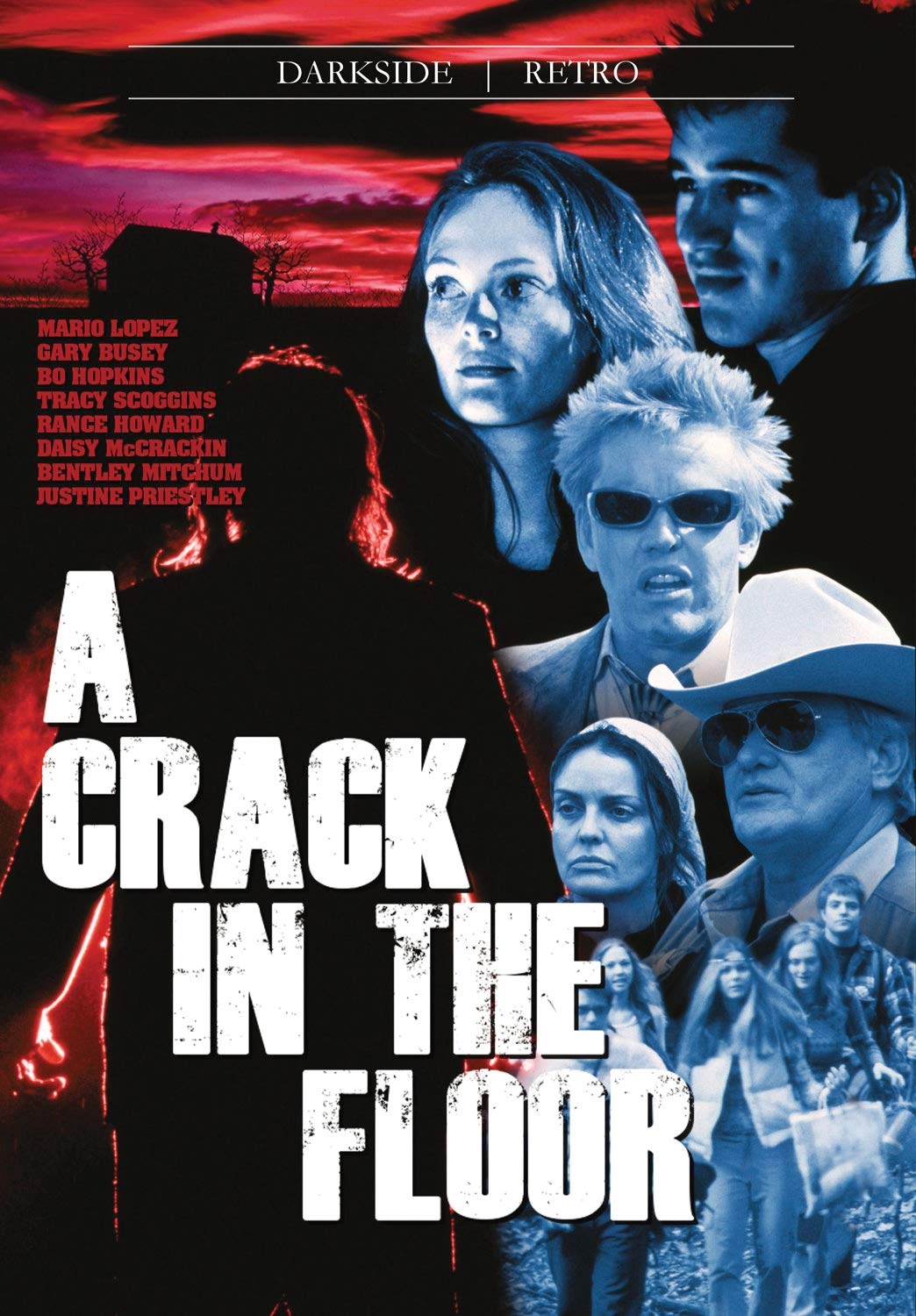 A Crack In The Floor DVD USA para amantes del cine de terror original