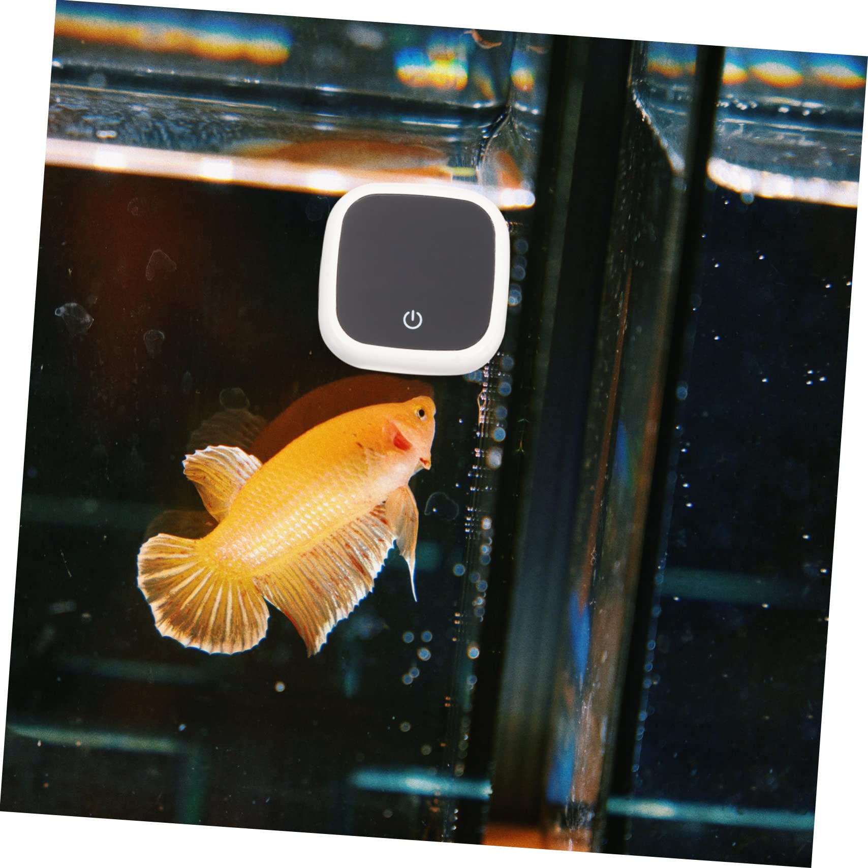 Happyyami 4stücke Aquarium Thermometer Digital Mit Außenfühler Präzise Temperaturmessung Für Aquarien Und Terrarien Installieren Kompakt Und Portabel Für Fische Und Reptilien Geeignet