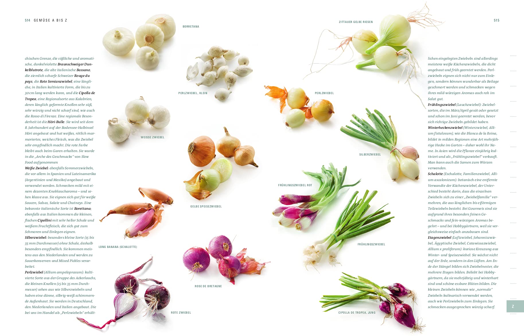 Aroma Gemüse - Kulinarischer Leitfaden für innovative Gerichte & moderne Gemüseküche mit einfachen Rezepten und Saisonkalender: Der Weg zum perfekten Geschmack