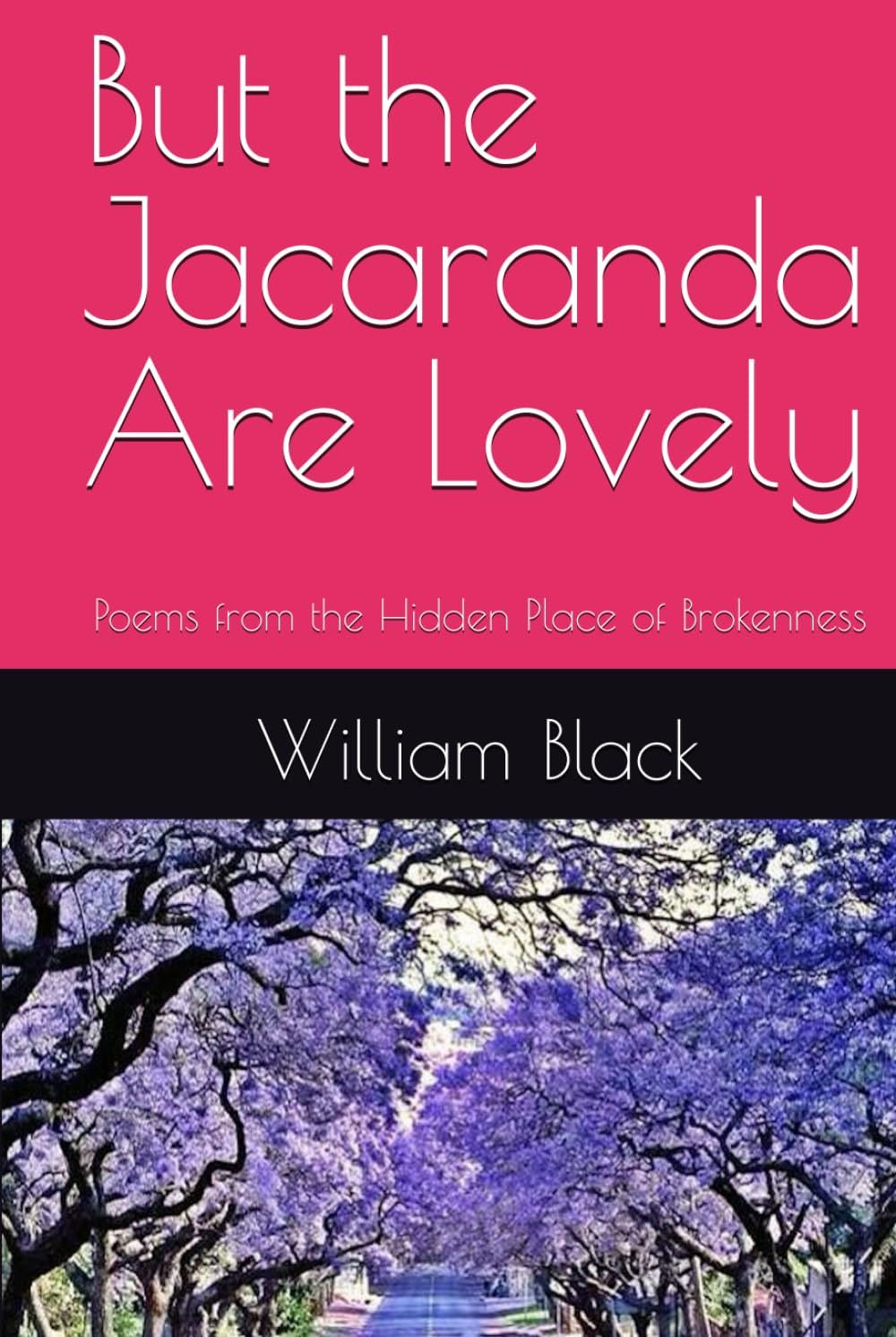 But the Jacaranda Are Lovely: Poems from the Hidden Place of Brokenness