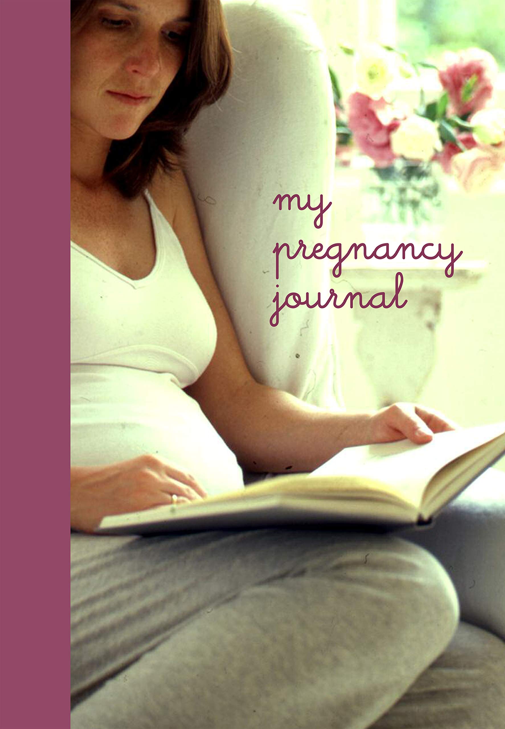 My Pregnancy Journal Spiral-bound – April 1, 2003