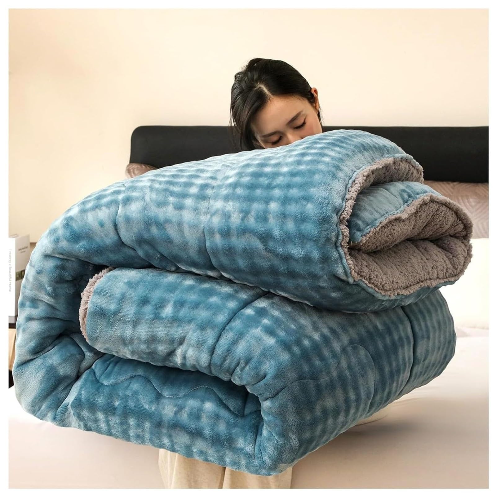 Super Warm Lamb Quilt Winter Blanket, Lamb Cashmere Warm Quilt Core Thickened Double-Sided Plush Comforter for Cold Weather(Color3,220x240cm(5KG))