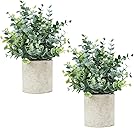 Velener 2 Pcs Small Fake Plants Eucalyptus, Artificial Plants Indoor for Shelf, Potted Eucalyptus Plants for Home/Bathroom/Pottery Barn/Desk/Farmhouse/Coffee Table Decor (Sage Green)