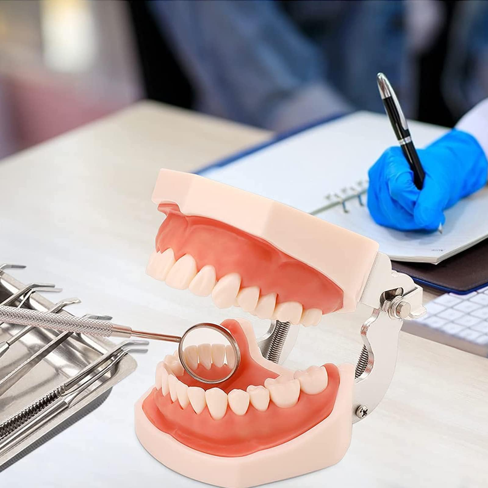 28 modelli di denti, modello di denti dentali, modello di denti rimovibili e gengive morbide, strumento di studio del modello di pianta per insegnare i denti alla pratica degli studenti di odontoiatr