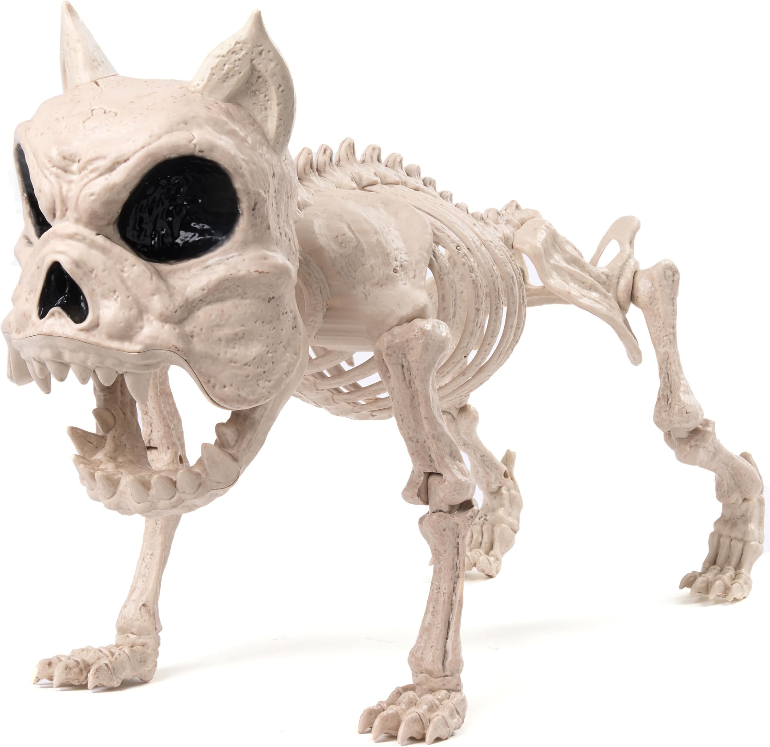 JOYIN 12โ(30.5 cm) Halloween Poseable Puppy Skeleton Pose-N-Stay Plastic Dog Bones for Halloween Indoor Outdoor Decor Spooky Scene Party Favors Decor