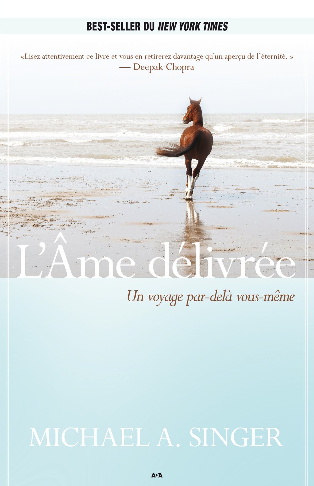 L’Âme délivrée: Un voyage par-delà vous-même (French Edition)